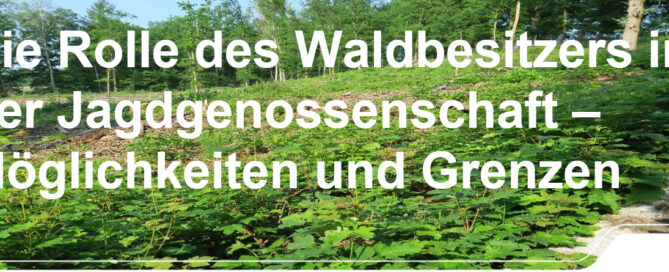 Weiterleitung zum Beitrag Waldbesitzerfortbildung