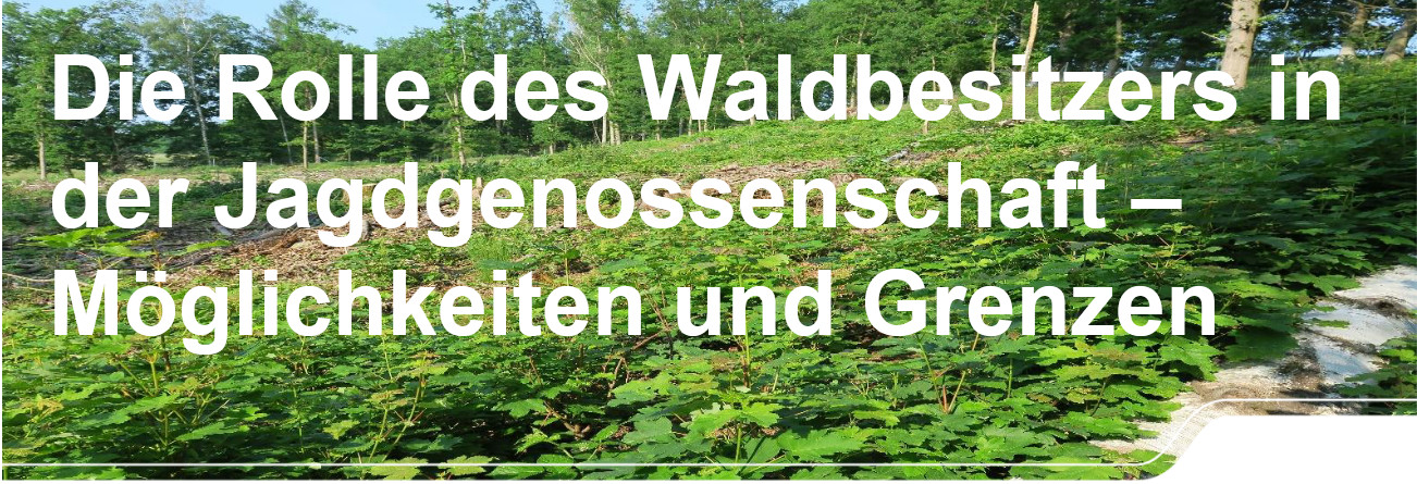 Weiterleitung zum Beitrag Waldbesitzerfortbildung