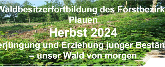 Weiterleitung zum Beitrag Waldbesitzerfortbildung