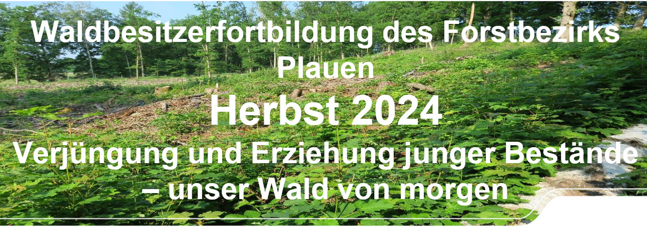 Weiterleitung zum Beitrag Waldbesitzerfortbildung